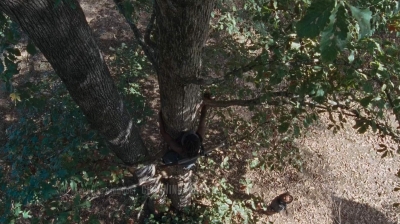 twd0715-0228.jpg