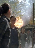 twd0715-1983.jpg