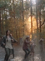 twd0715-1991.jpg