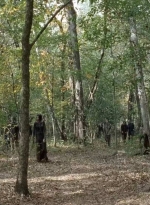 twd0715-2322.jpg