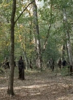 twd0715-2323.jpg