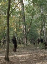 twd0715-2324.jpg