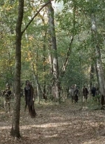 twd0715-2325.jpg
