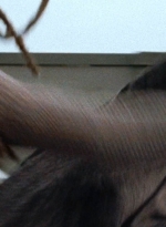 twd0716-3032.jpg