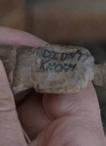 twd0716-4227.jpg