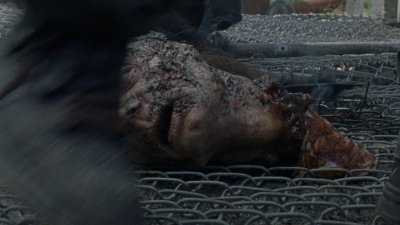 twd0801-2495.jpg