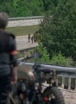twd0801-1262.jpg