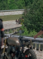 twd0801-1263.jpg