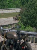 twd0801-1264.jpg