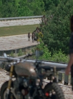 twd0801-1265.jpg