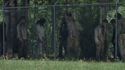 twd0802-0483.jpg