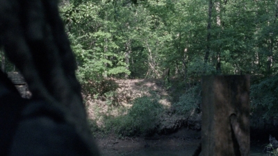 Click to view full size image
==============
twd0802-2160.jpg twd0802-2160.jpg