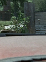 twd0802-0736.jpg