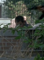 twd0802-2180.jpg