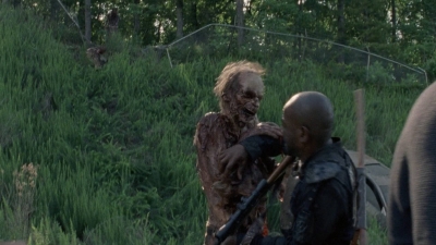 twd0803-1127.jpg