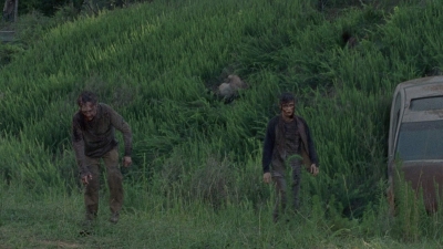 twd0803-1133.jpg