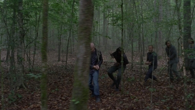 twd0803-1156.jpg