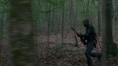 twd0803-1157.jpg