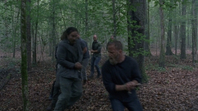 twd0803-1160.jpg