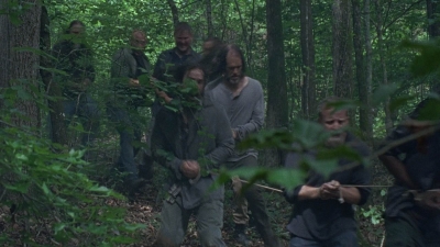 twd0803-1161.jpg