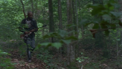 twd0803-1166.jpg