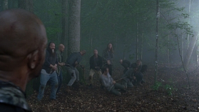 twd0803-1173.jpg