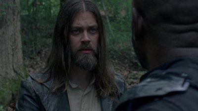 twd0803-1206.jpg