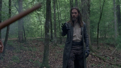 twd0803-1370.jpg