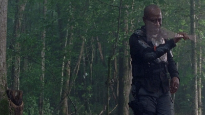 twd0803-1374.jpg