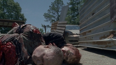 twd0803-1956.jpg