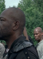twd0803-0702.jpg