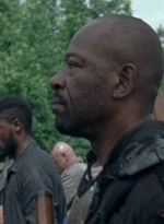 twd0803-0704.jpg