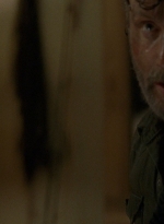 twd0803-1065.jpg