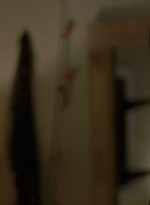 twd0803-1066.jpg