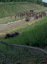 twd0803-1068.jpg