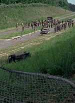 twd0803-1069.jpg