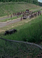 twd0803-1071.jpg