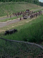 twd0803-1072.jpg