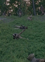 twd0803-1113.jpg