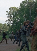 twd0803-1114.jpg