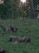 twd0803-1118.jpg