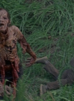 twd0803-1122.jpg