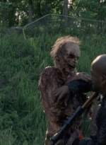 twd0803-1127.jpg
