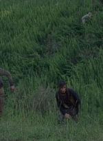 twd0803-1131.jpg