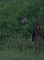 twd0803-1133.jpg