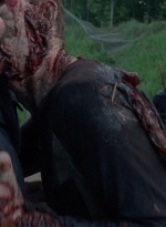 twd0803-1137.jpg