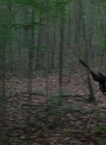 twd0803-1157.jpg
