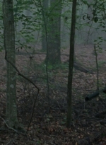 twd0803-1159.jpg