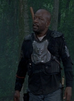 twd0803-1189.jpg