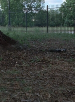 twd0803-2051.jpg